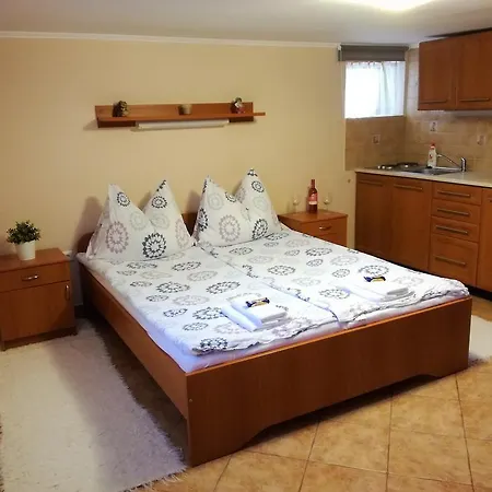 Toreki Vendeghaz Apartment *